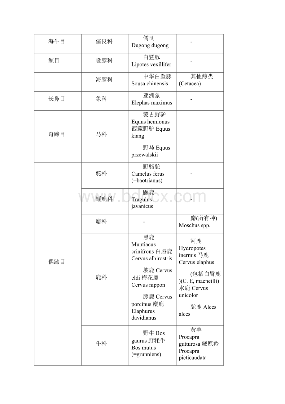 国家保护动物名录.docx_第3页