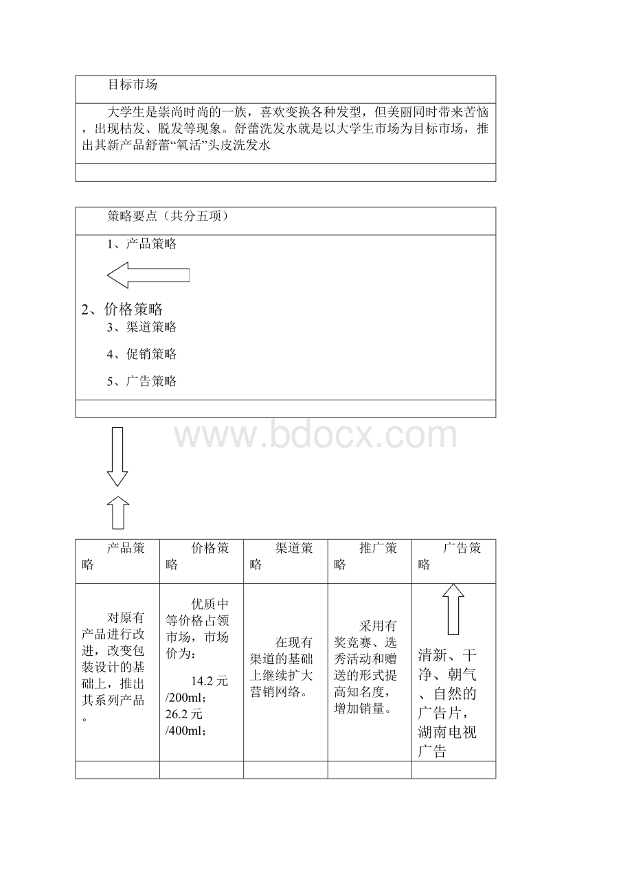 XX品牌洗发水市场推广及营销策划方案.docx_第3页