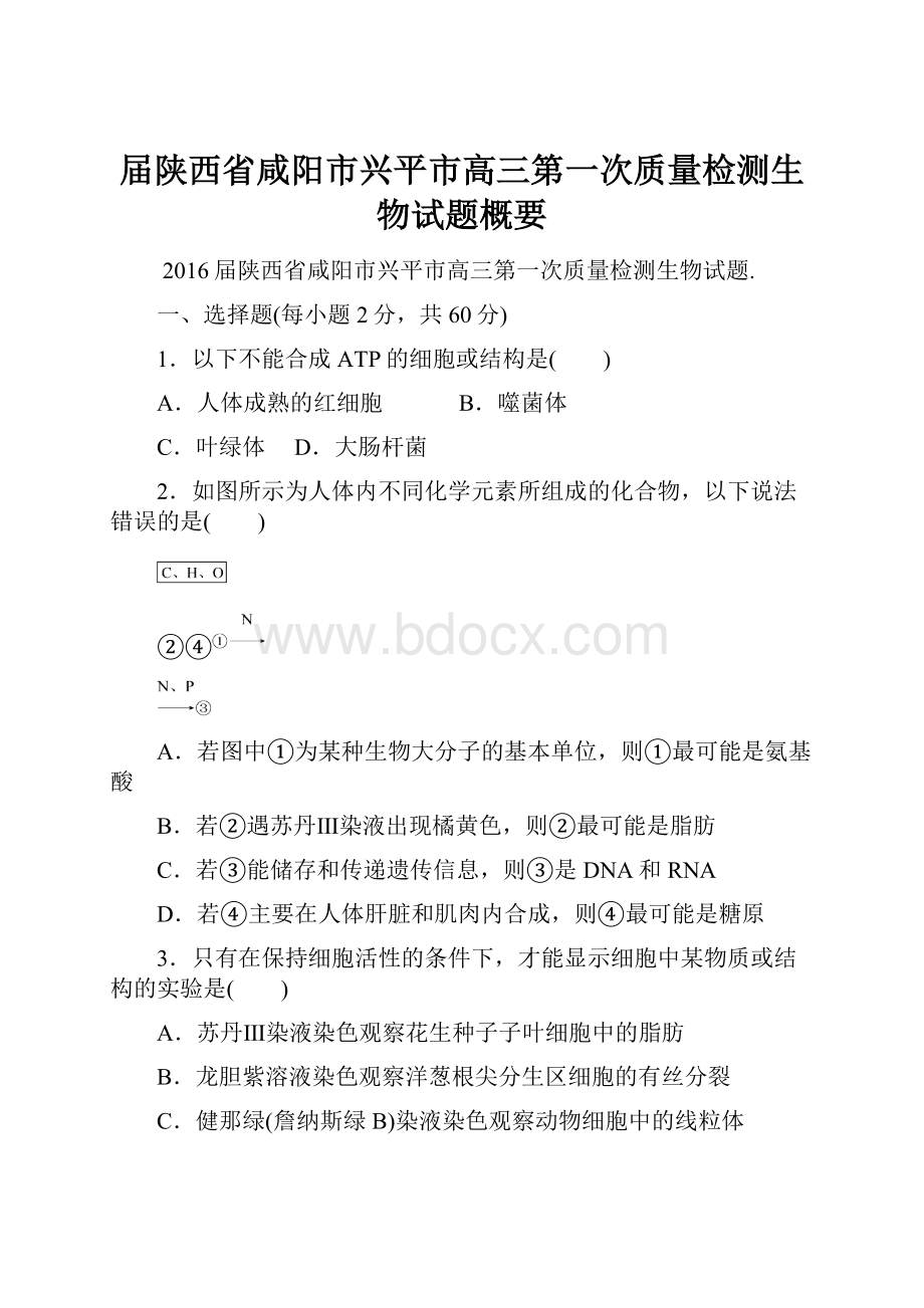 届陕西省咸阳市兴平市高三第一次质量检测生物试题概要.docx