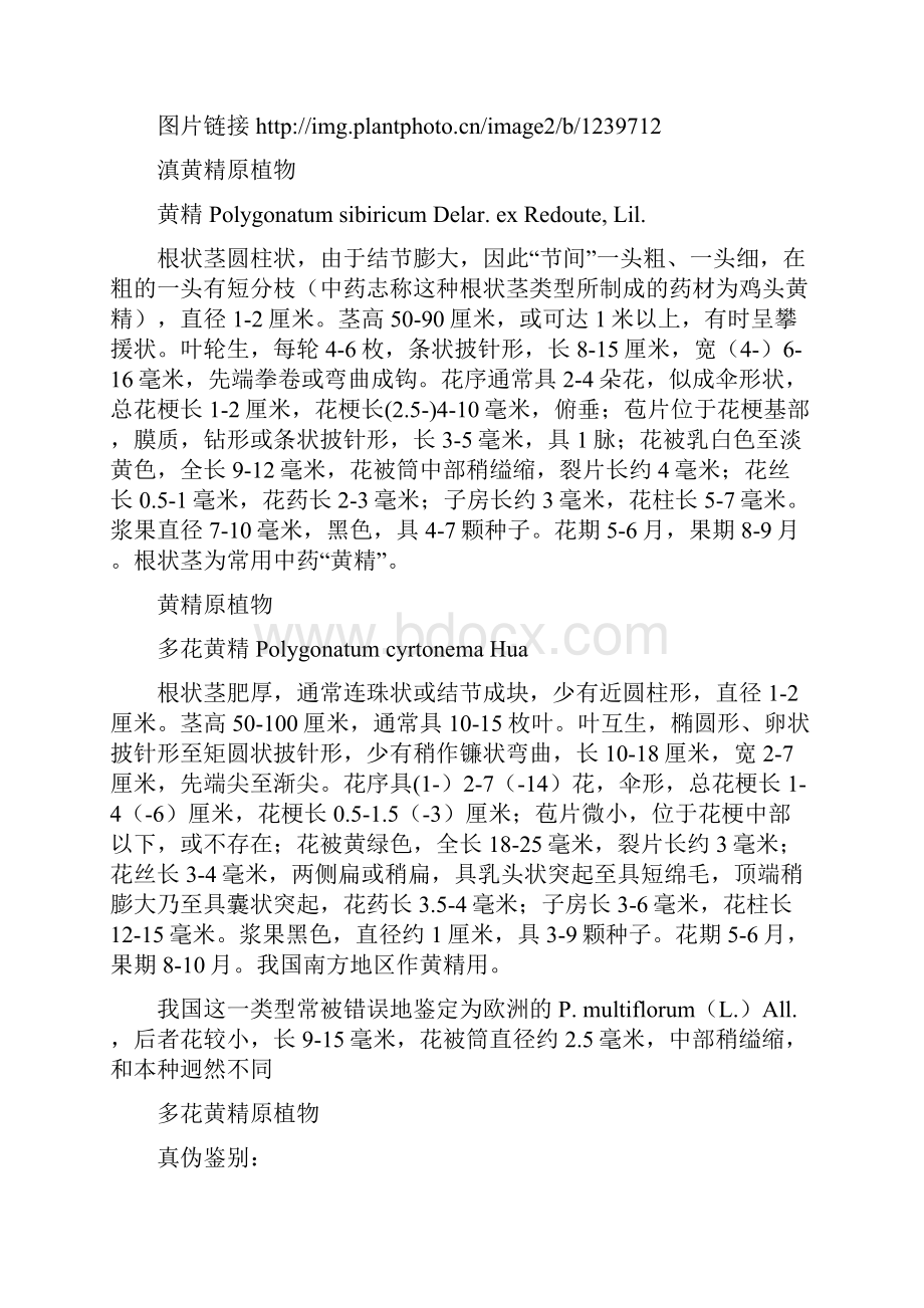 中药材品种数据系列之黄精12页文档资料.docx_第3页