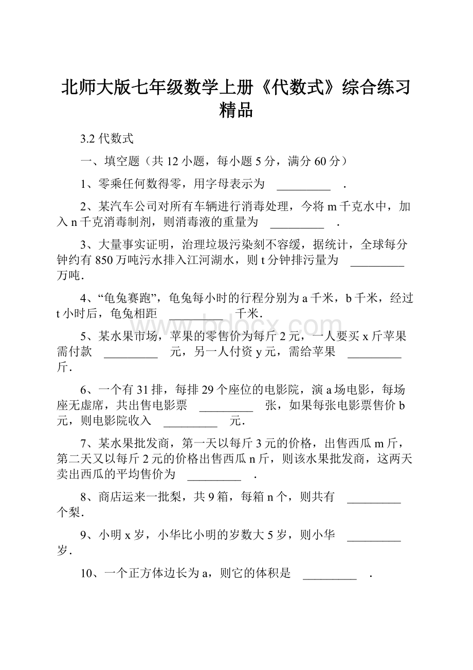 北师大版七年级数学上册《代数式》综合练习精品.docx