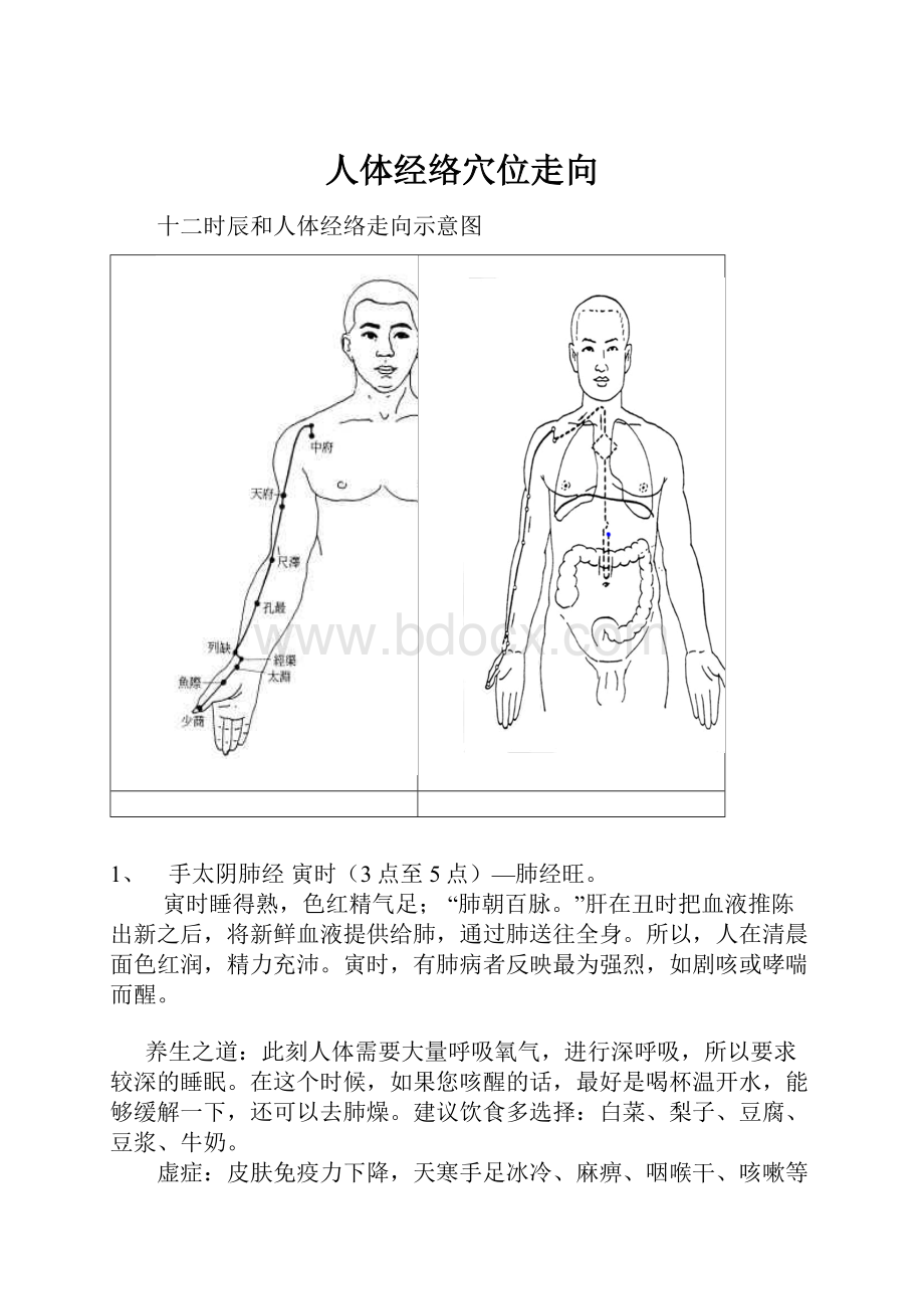 人体经络穴位走向.docx