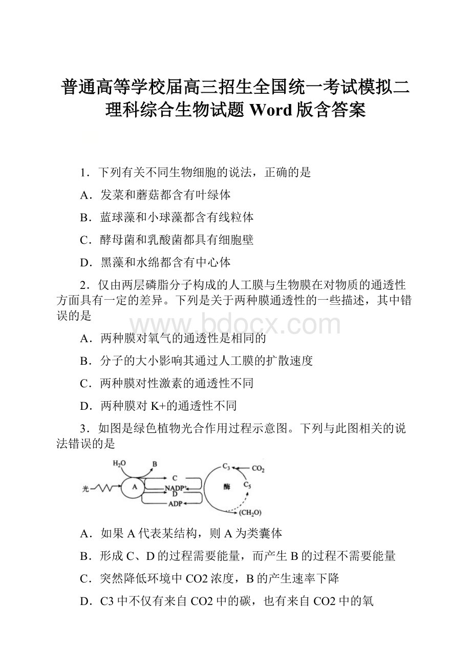 普通高等学校届高三招生全国统一考试模拟二理科综合生物试题 Word版含答案.docx_第1页