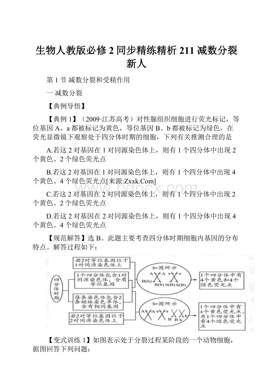 生物人教版必修2同步精练精析211 减数分裂新人.docx