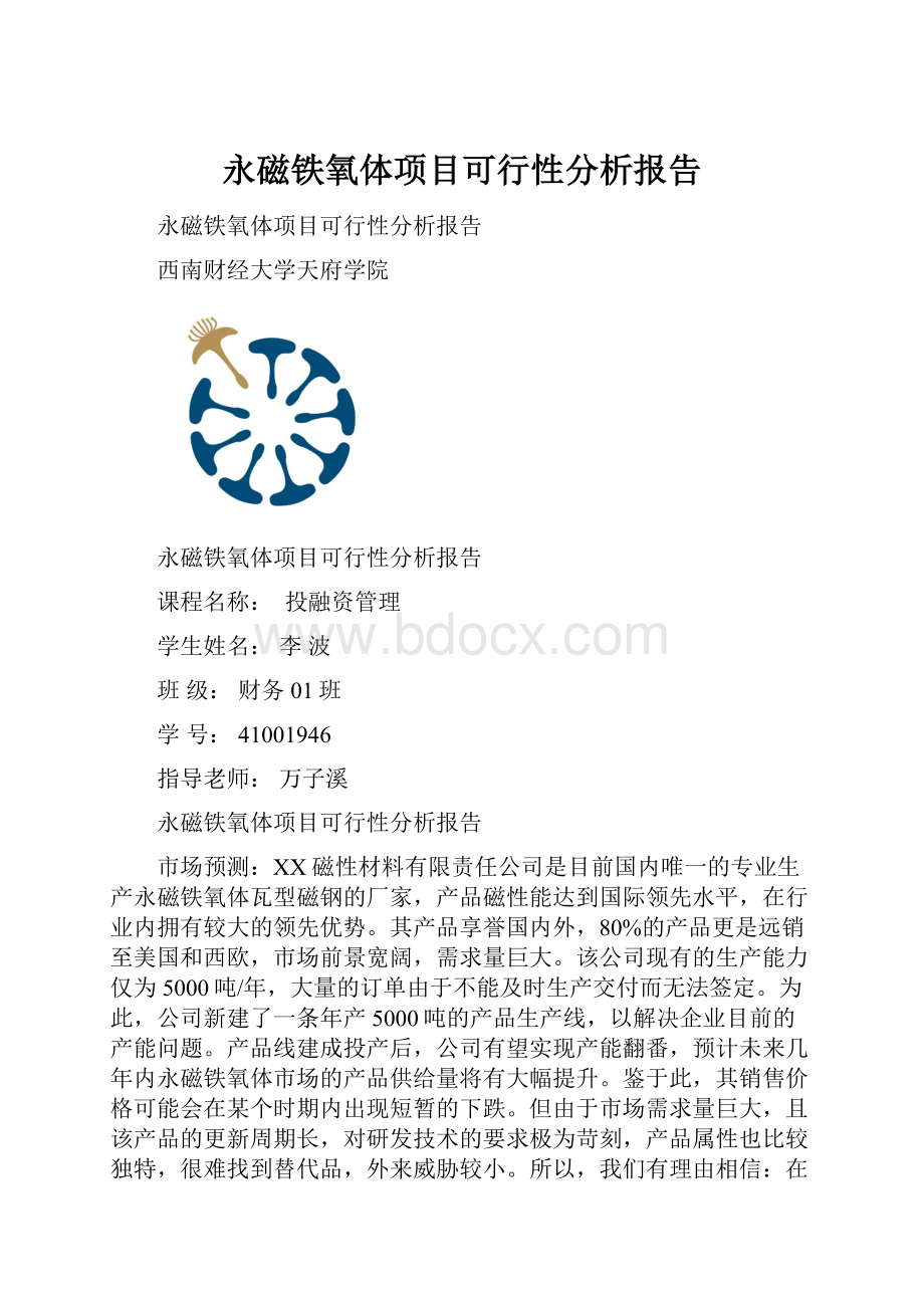 永磁铁氧体项目可行性分析报告.docx