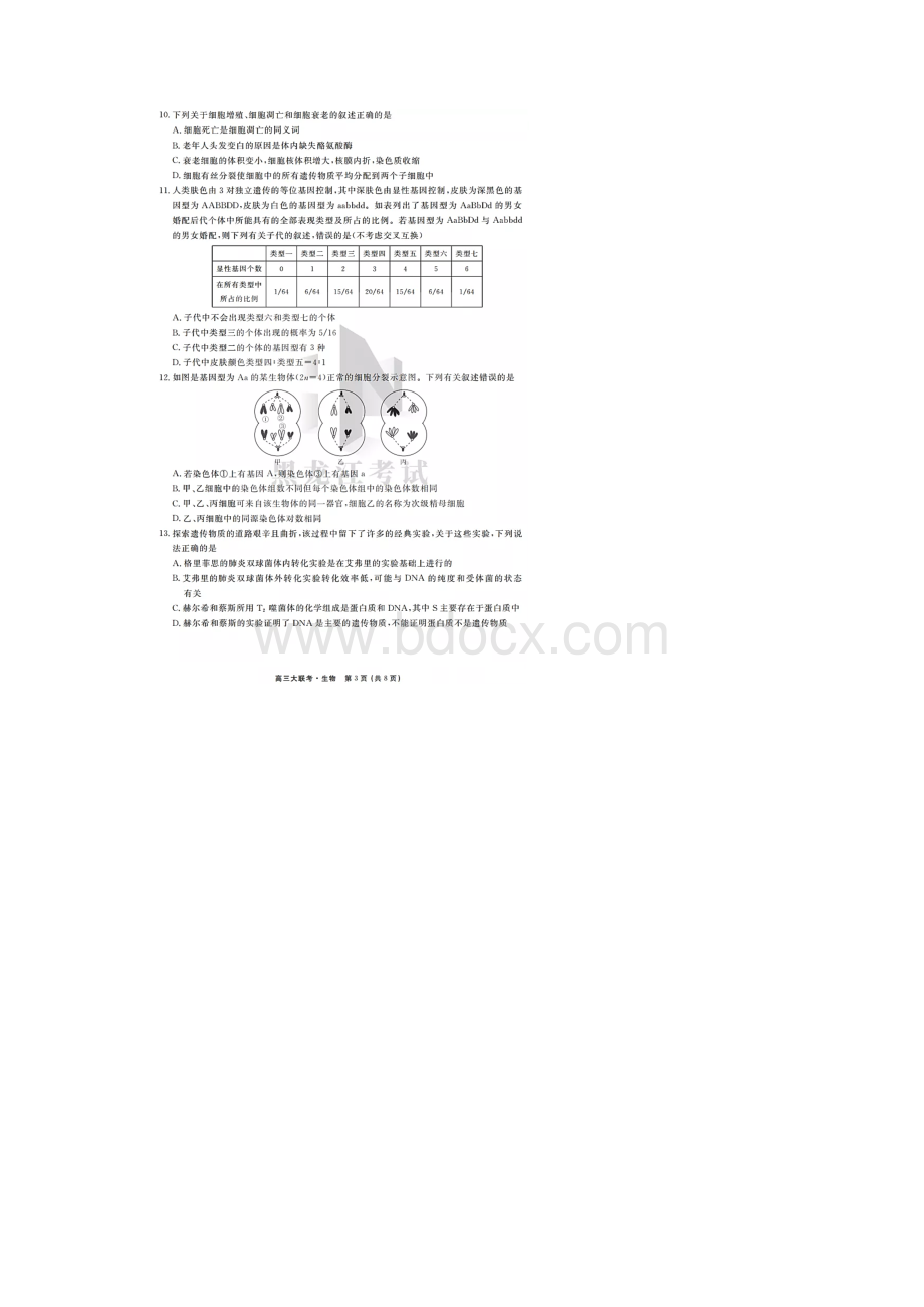 届四省名校高三第一次大联考生物试题含答案和解析.docx_第3页