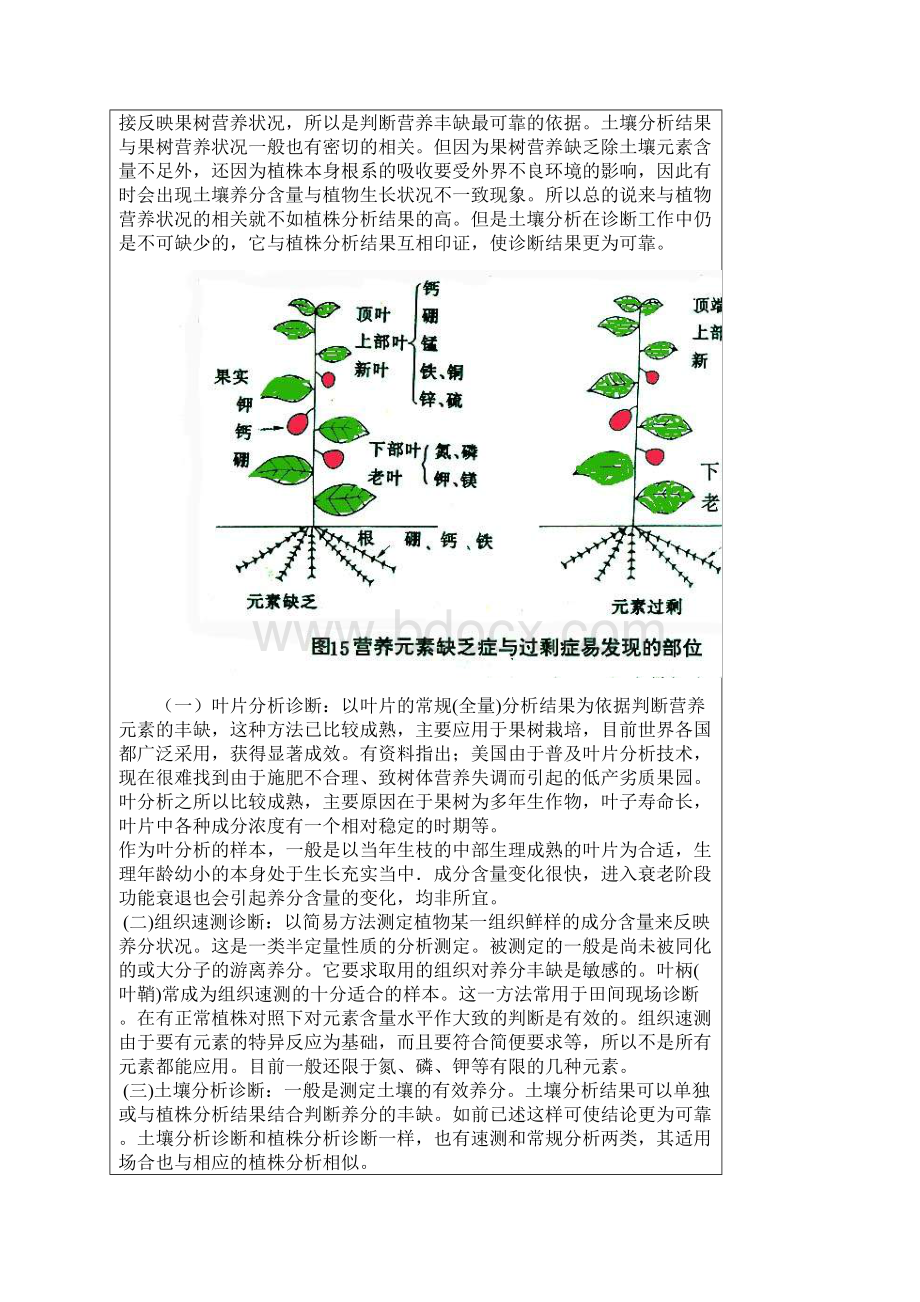 黄瓜缺素症文图要点.docx_第3页