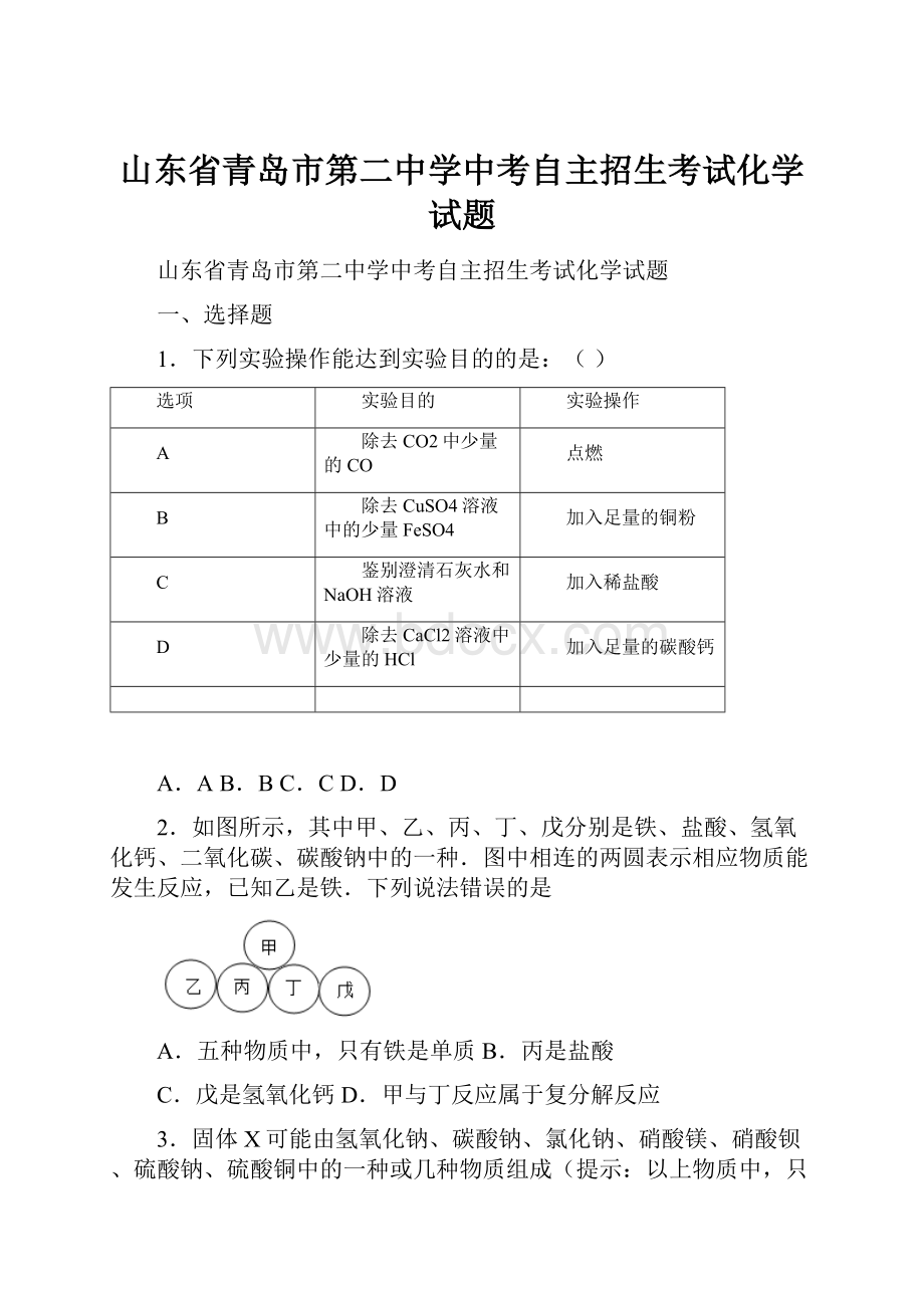 山东省青岛市第二中学中考自主招生考试化学试题.docx_第1页