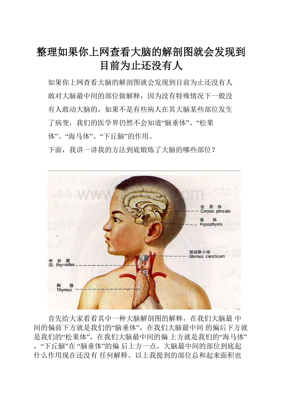 整理如果你上网查看大脑的解剖图就会发现到目前为止还没有人.docx