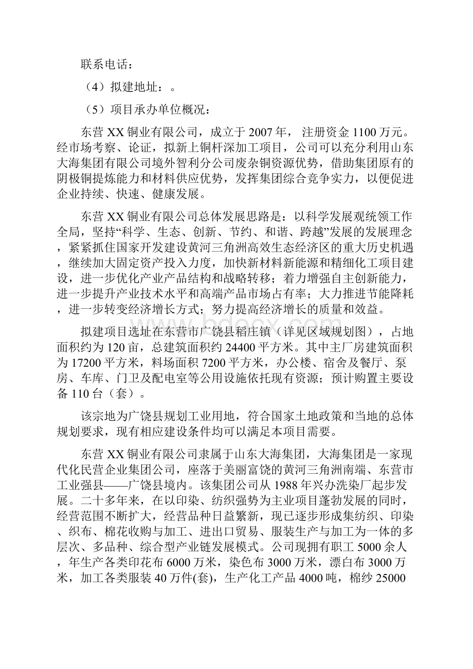 年产6万吨铜深加工项目可行性研究报告无氧铜杆项目申请报告.docx_第3页