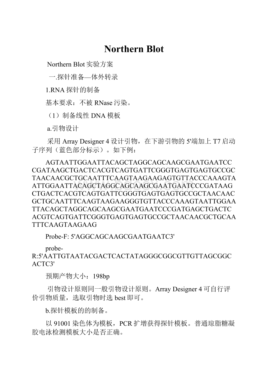 Northern Blot.docx_第1页