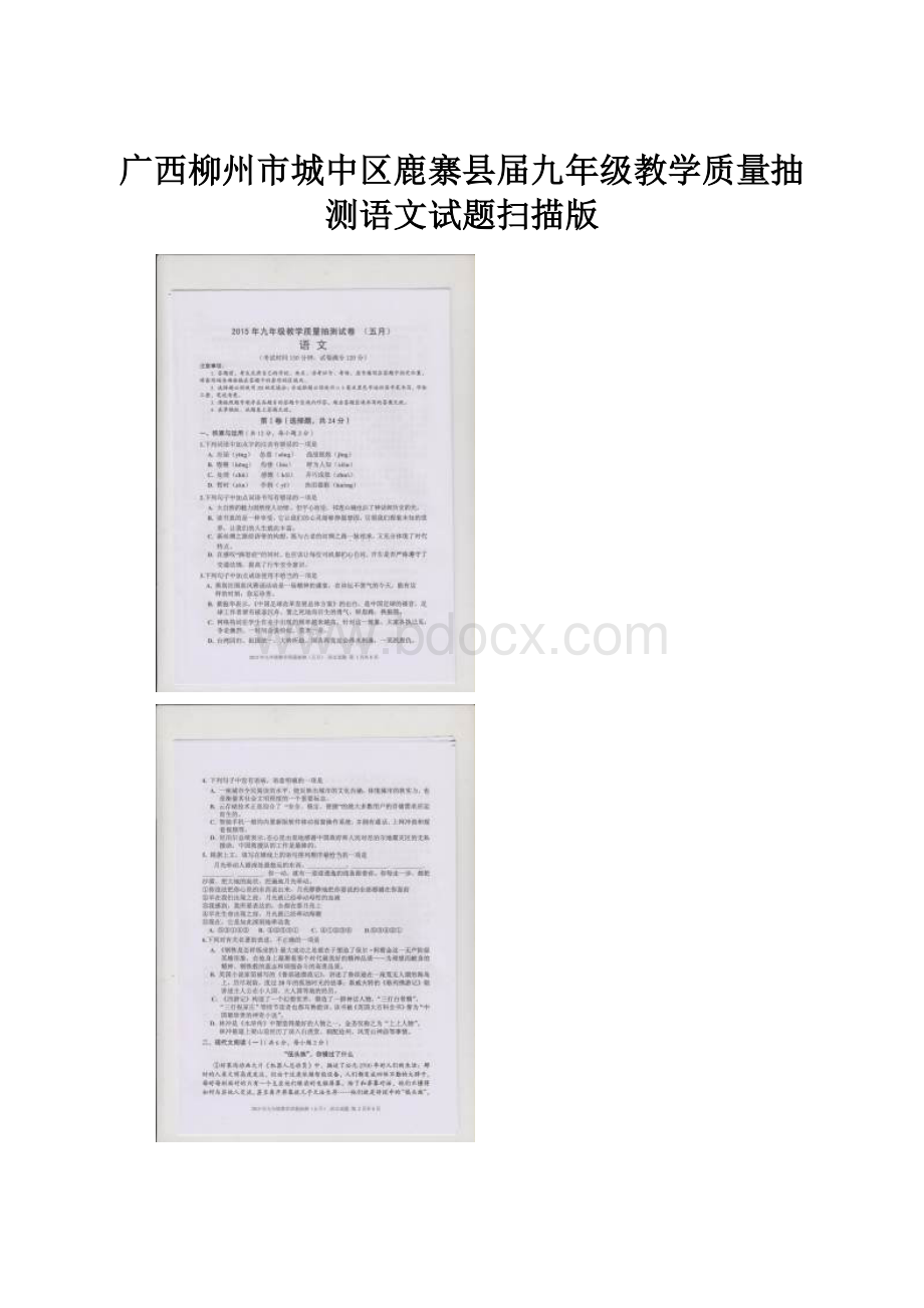 广西柳州市城中区鹿寨县届九年级教学质量抽测语文试题扫描版.docx