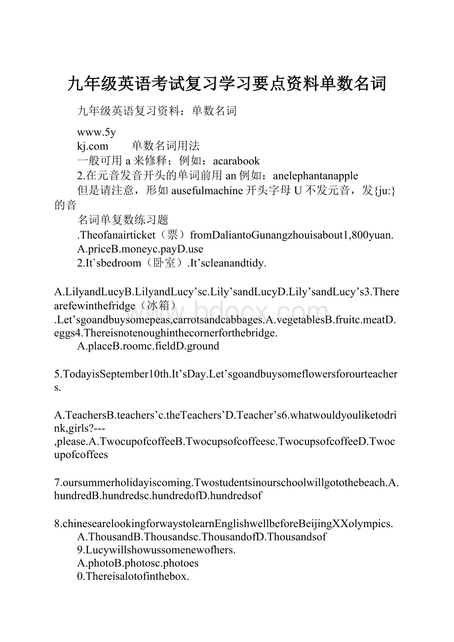 九年级英语考试复习学习要点资料单数名词.docx