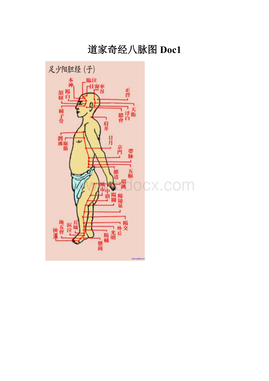 道家奇经八脉图Doc1.docx_第1页