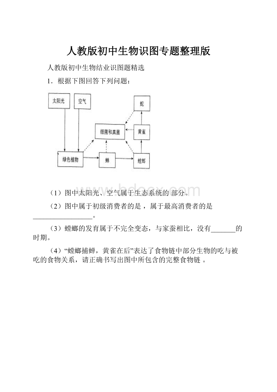 人教版初中生物识图专题整理版.docx