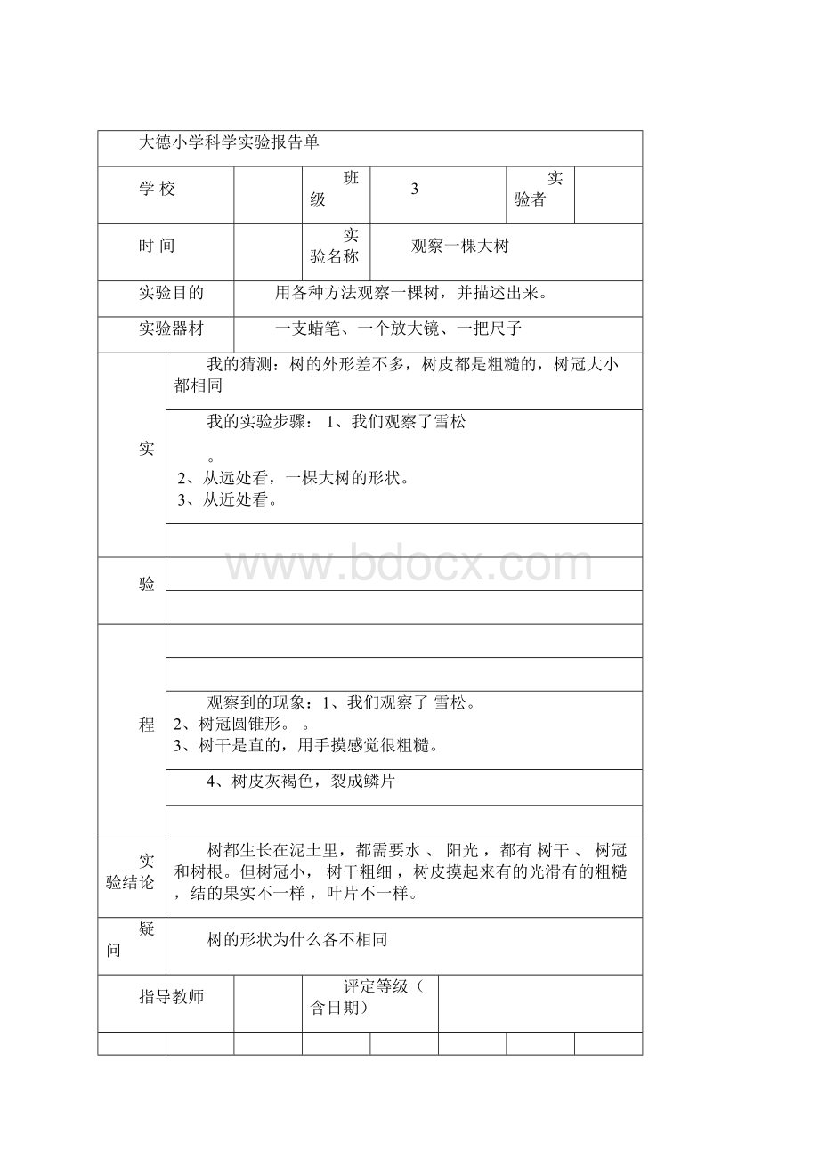 教科版三年级上册科学实验报告单.docx_第2页