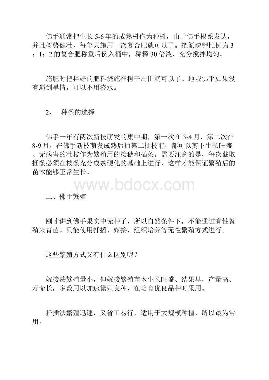 整理佛手盆栽技术.docx_第2页