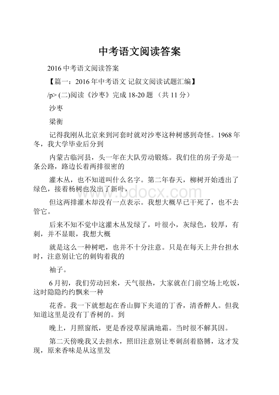 中考语文阅读答案.docx