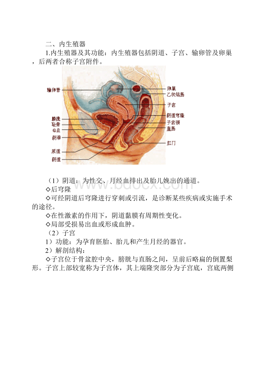 7第七章妊娠.docx_第2页