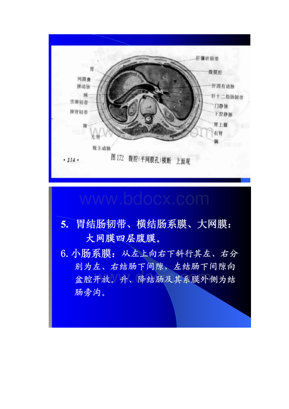 腹腔及腹膜病变.docx_第2页