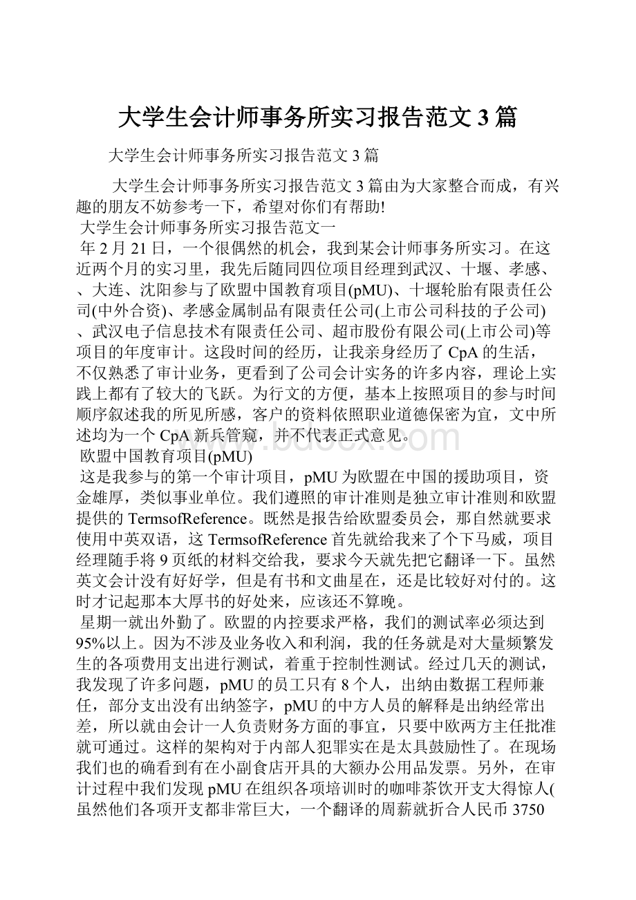 大学生会计师事务所实习报告范文3篇.docx