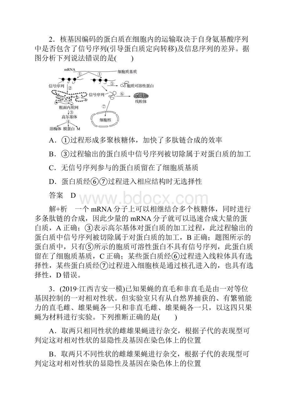 高考生物通用版提分大二轮复习讲义专题三 遗传变异与进化 专题强化练提升练.docx_第2页