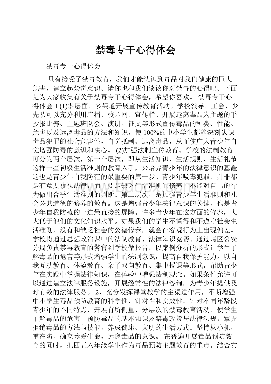 禁毒专干心得体会.docx_第1页