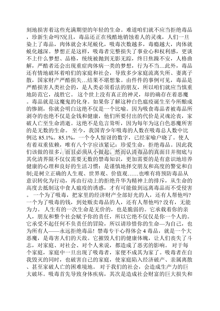 禁毒专干心得体会.docx_第3页