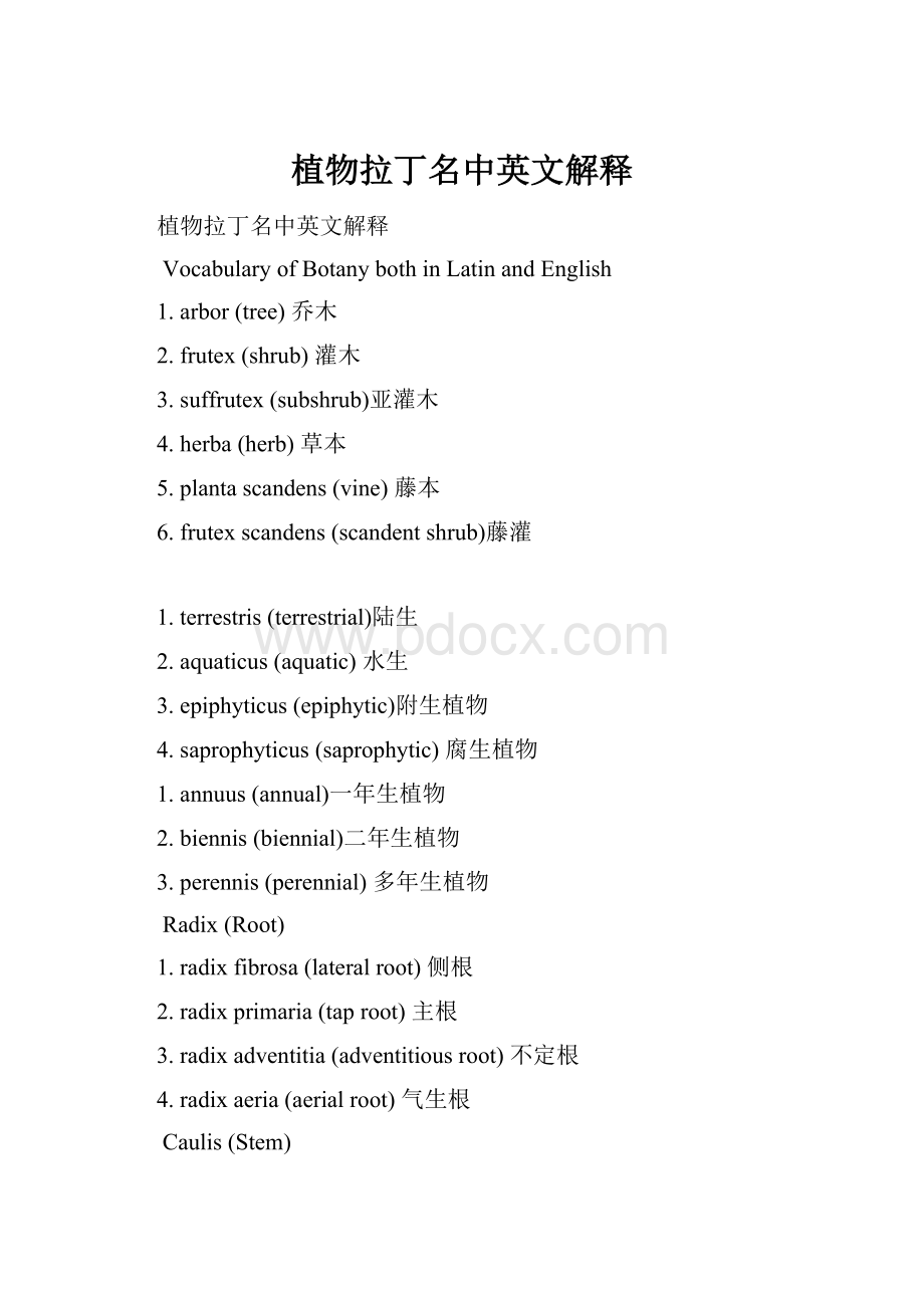 植物拉丁名中英文解释.docx