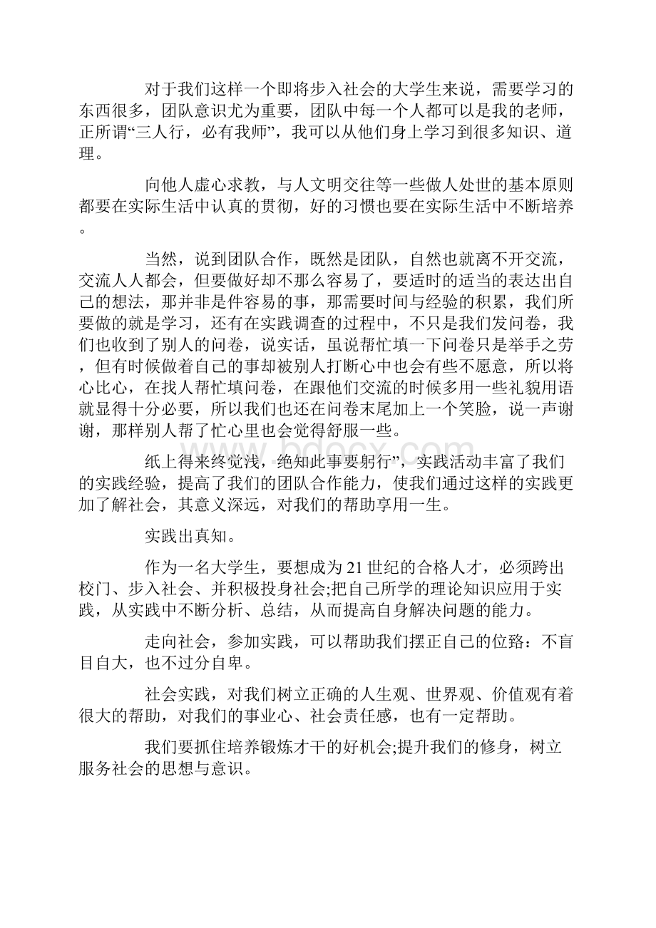 毛概社会实践ppt.docx_第3页