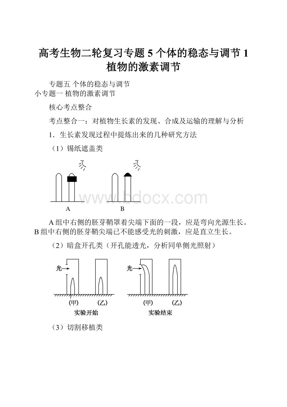 高考生物二轮复习专题5 个体的稳态与调节1 植物的激素调节.docx