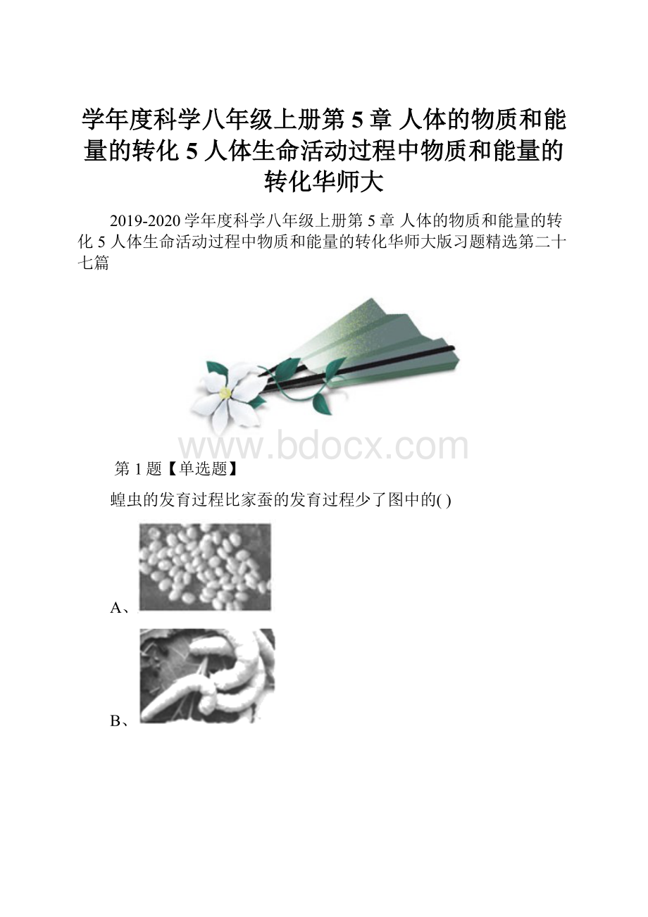 学年度科学八年级上册第5章 人体的物质和能量的转化5 人体生命活动过程中物质和能量的转化华师大.docx_第1页