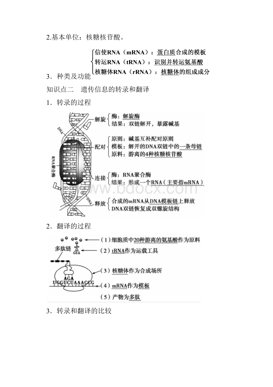 完整版生物高考总复习 第19讲 基因的表达.docx_第2页