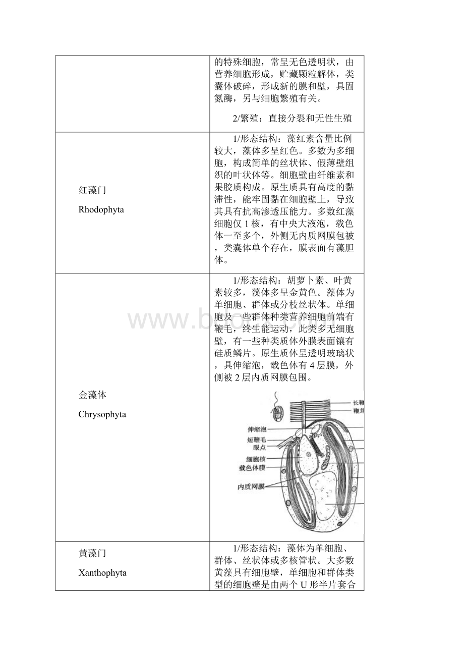 植物分类学汇总.docx_第2页