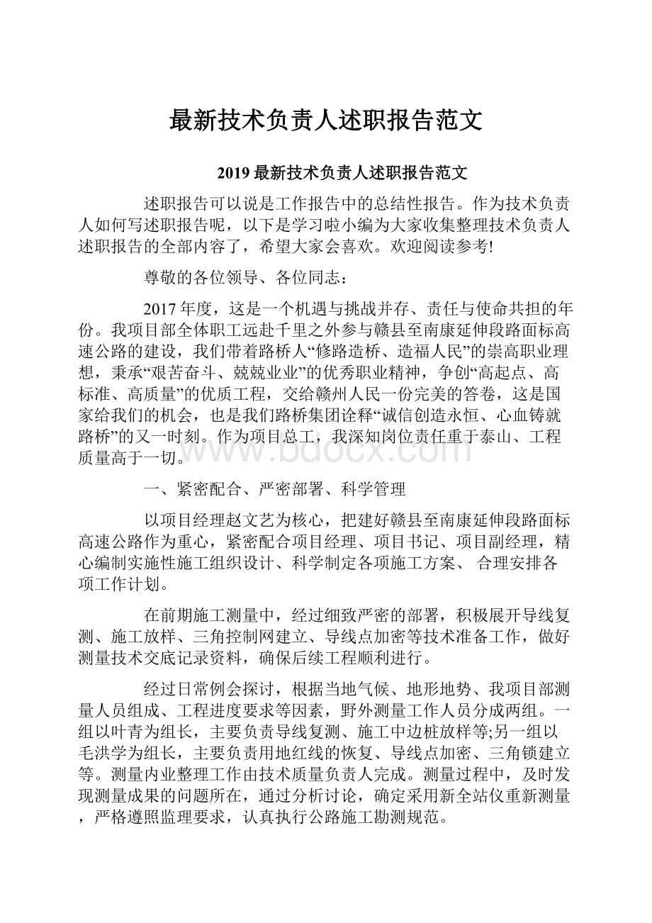 最新技术负责人述职报告范文.docx