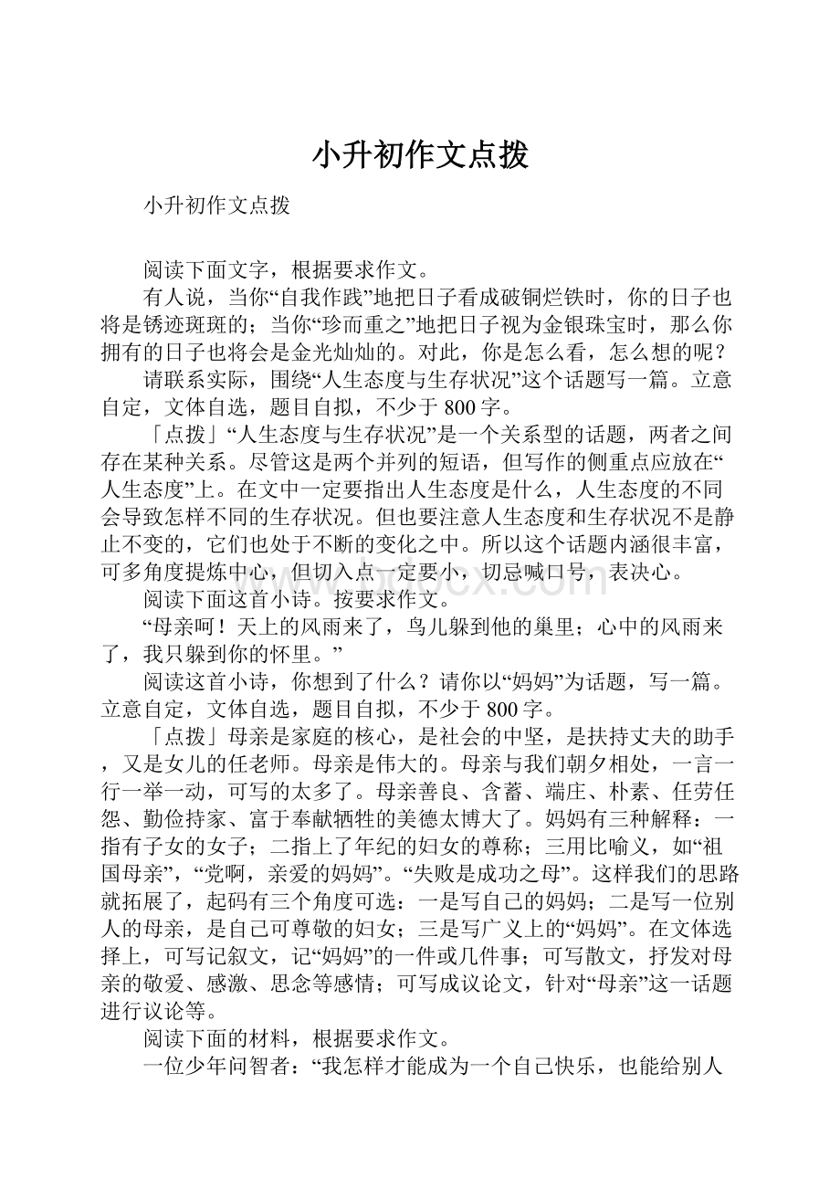 小升初作文点拨.docx