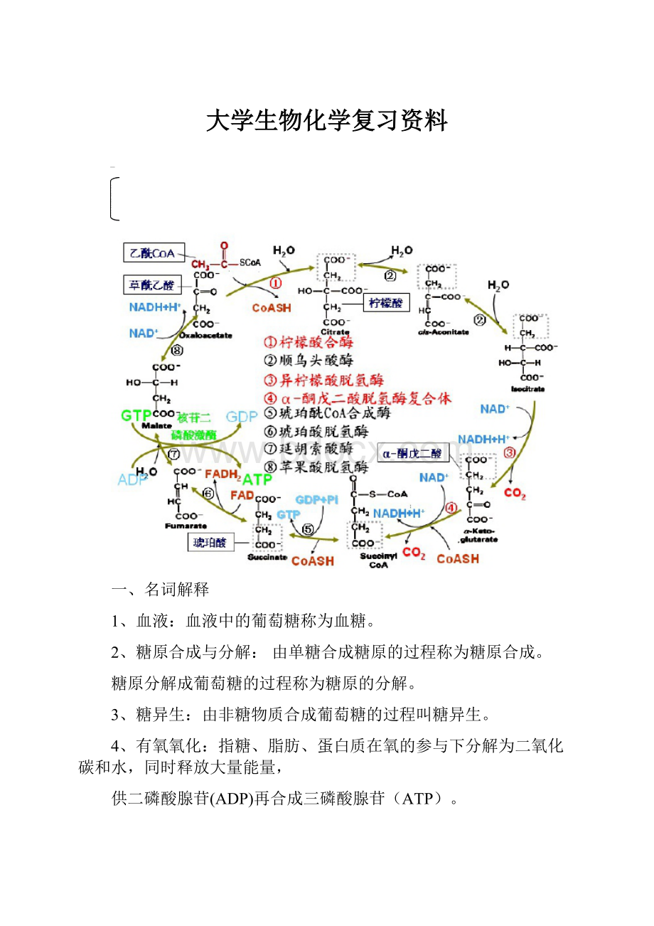 大学生物化学复习资料.docx