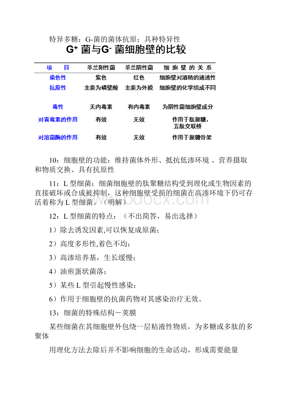 微生物学重点.docx_第3页