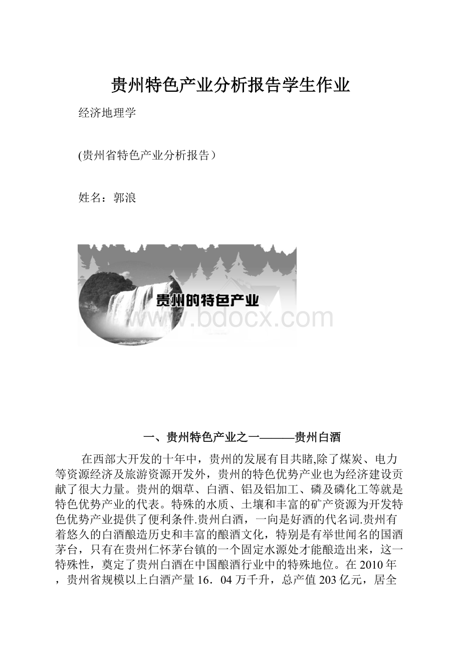 贵州特色产业分析报告学生作业.docx_第1页