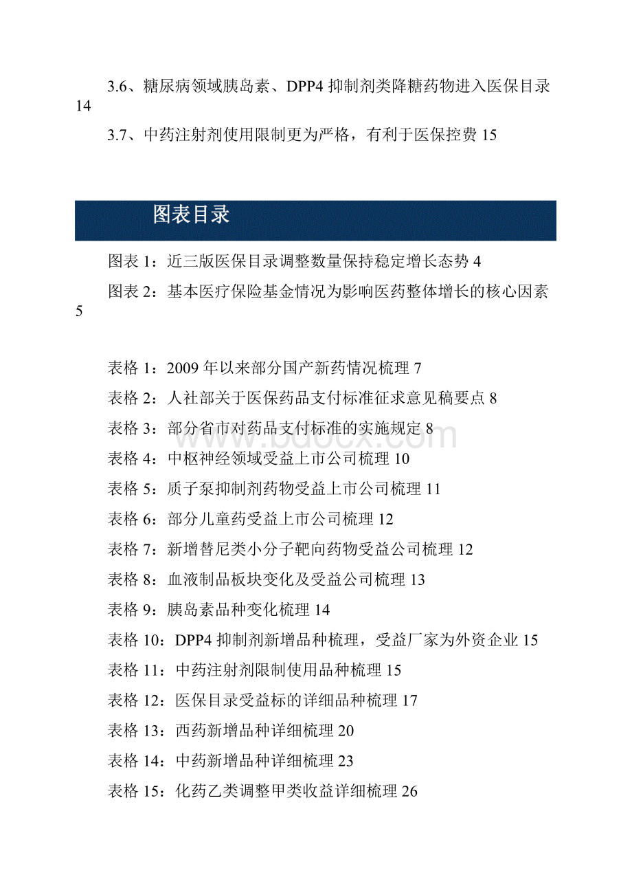 最新版中国医保行业市场专题投资策略分析报告.docx_第2页