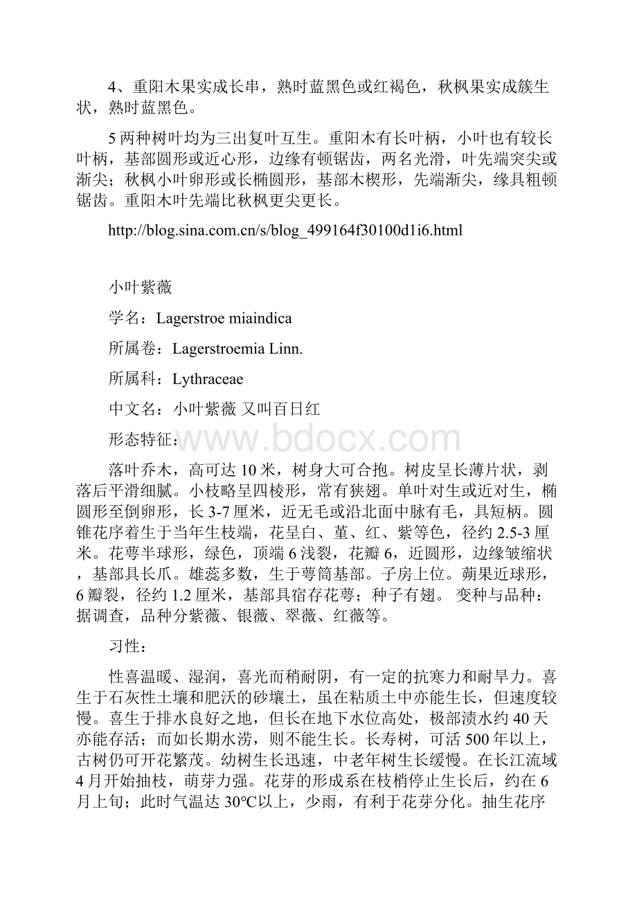 泸县苗木栽培指导资料.docx_第3页