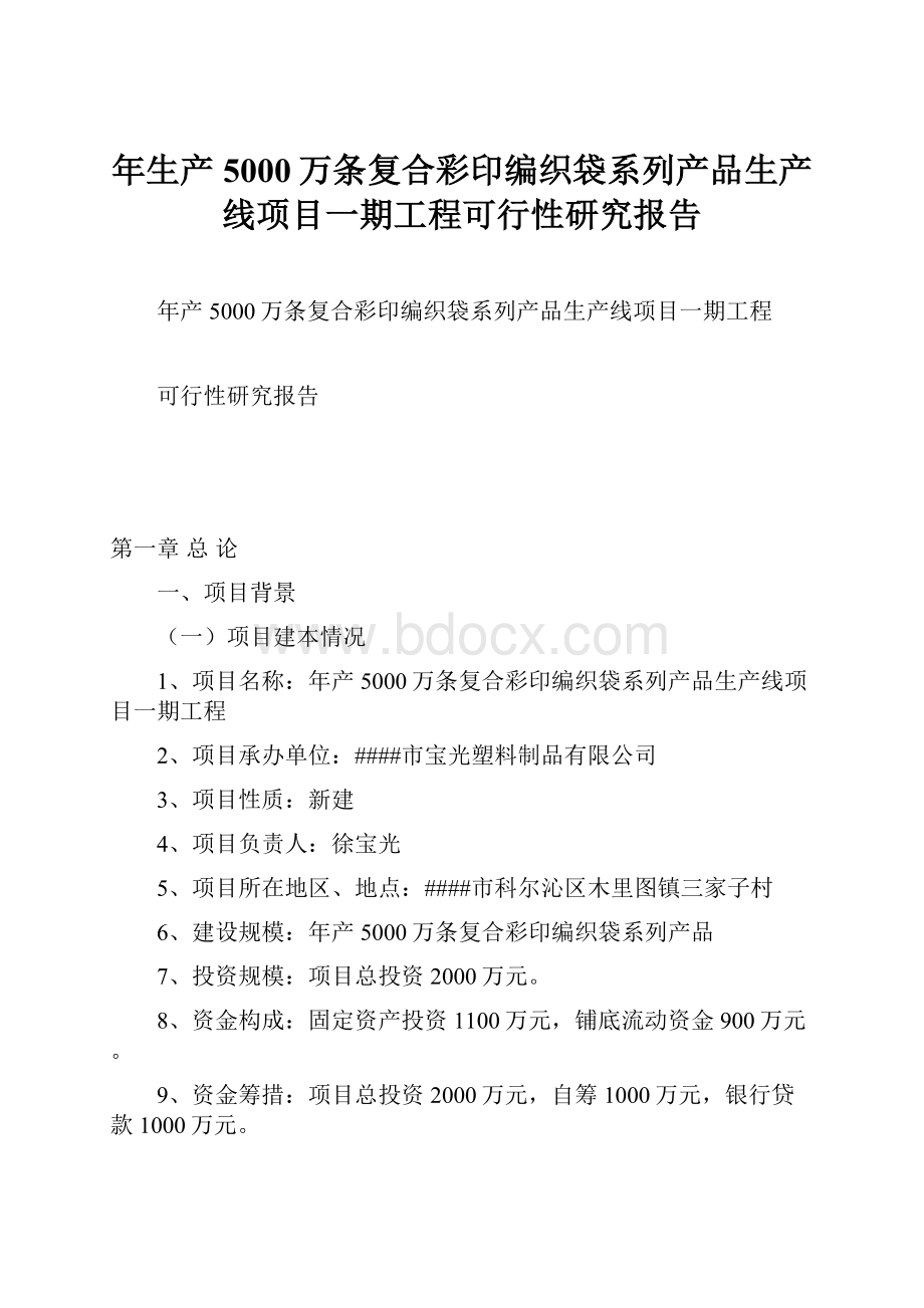 年生产5000万条复合彩印编织袋系列产品生产线项目一期工程可行性研究报告.docx_第1页