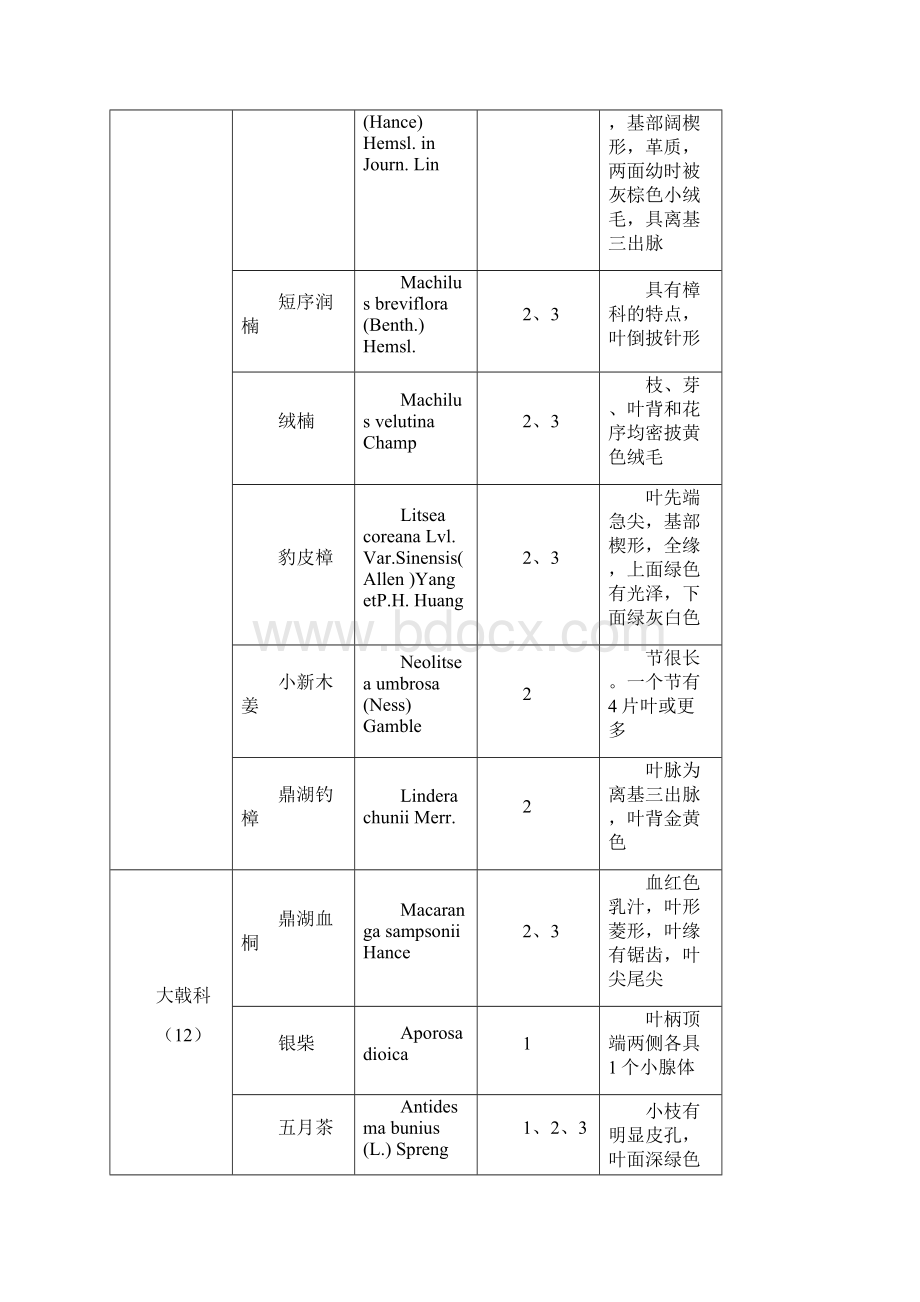 XX科X班X组鼎湖山实习植物路线名录.docx_第2页