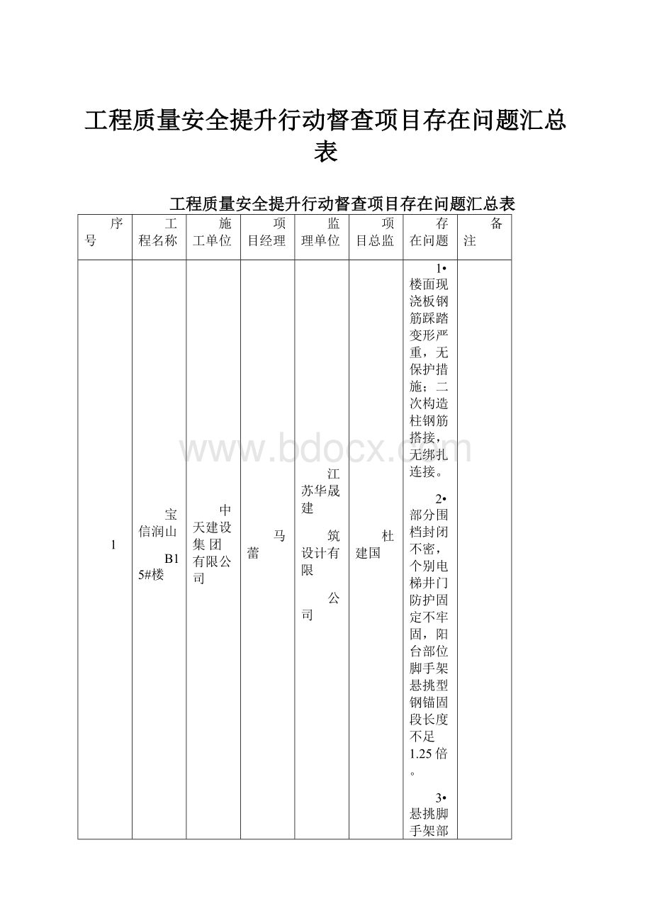 工程质量安全提升行动督查项目存在问题汇总表.docx_第1页