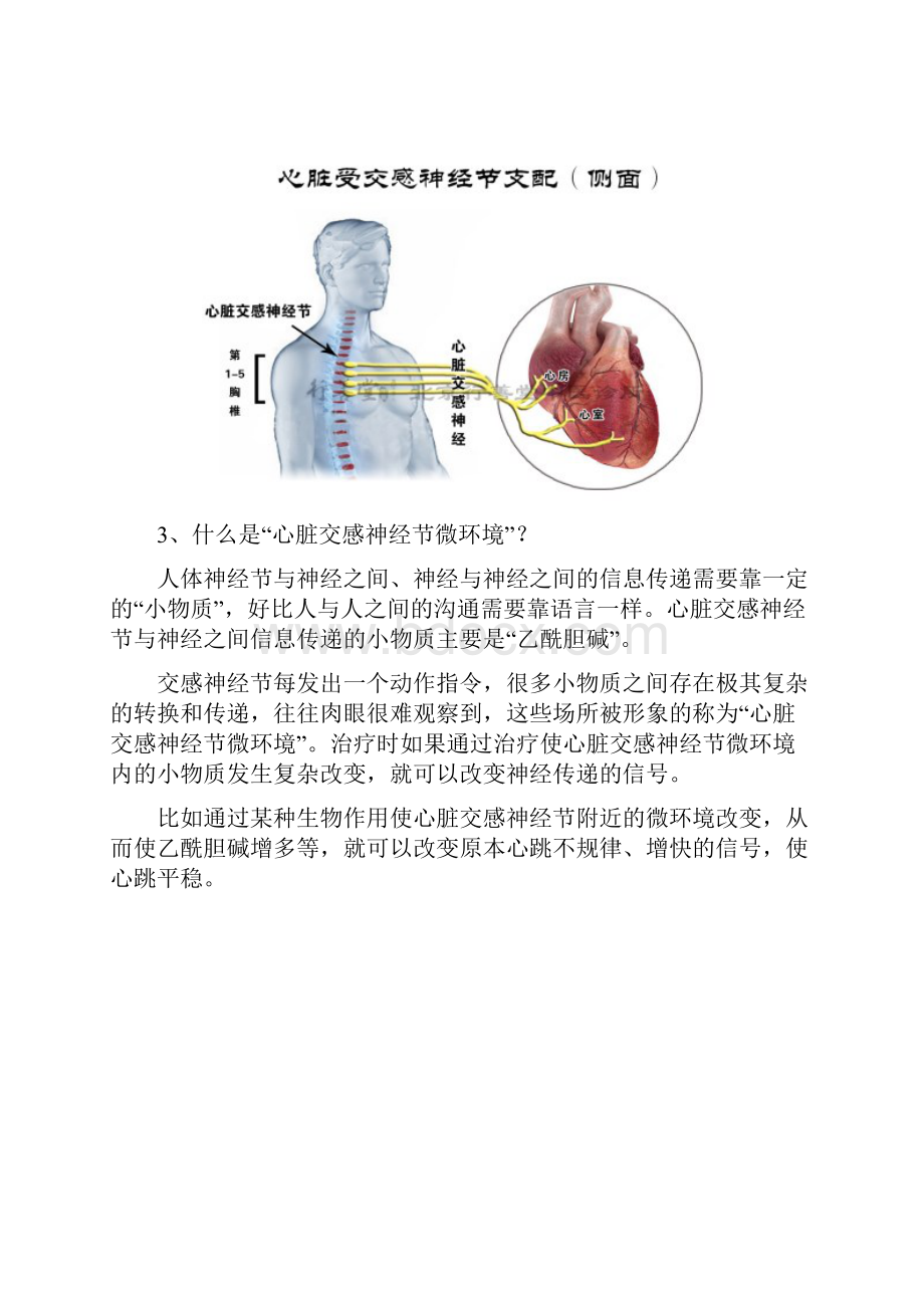 整理心脏交感神经节生物阻滞术.docx_第3页