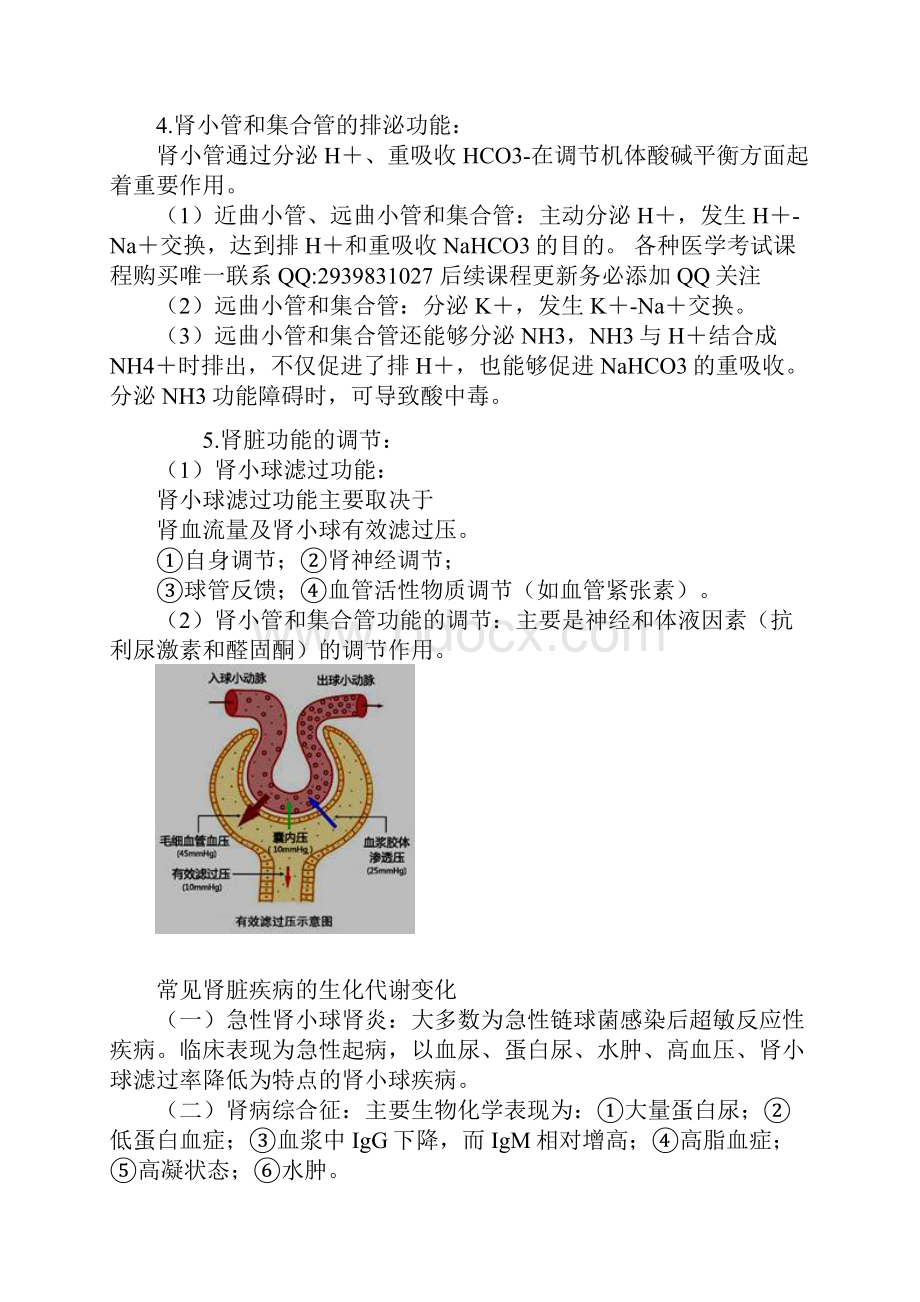 临床化学图文讲义肾功能及早期肾损伤的检查.docx_第3页