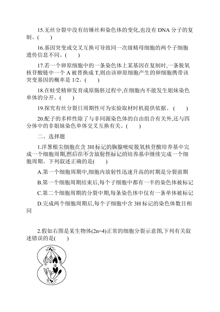 高考生物二轮复习专题能力训练5细胞的增殖和受精作用110.docx_第2页