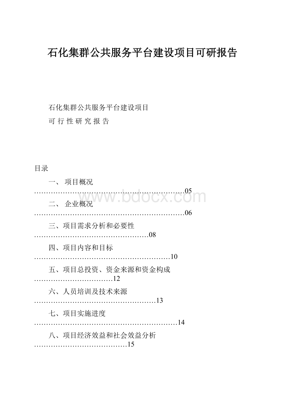 石化集群公共服务平台建设项目可研报告.docx