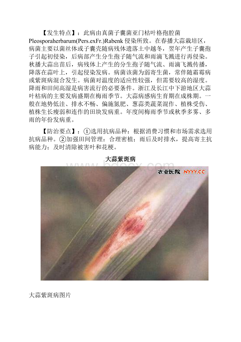 大蒜病虫害图谱及防治方法.docx_第2页