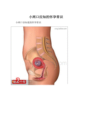 小两口应知的怀孕常识.docx